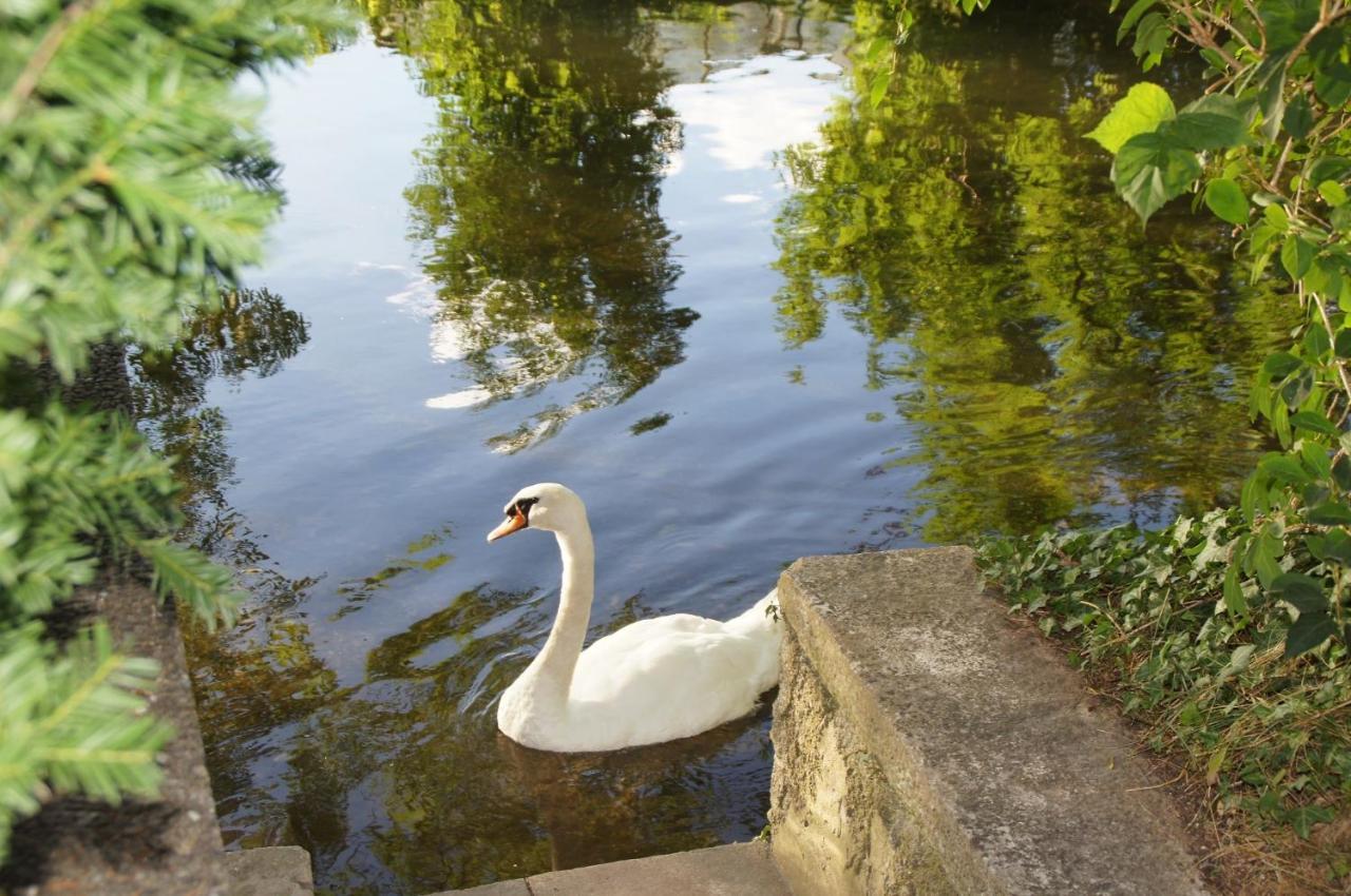 Ferienhaus Brenzblick Gundelfingen an der Donau エクステリア 写真
