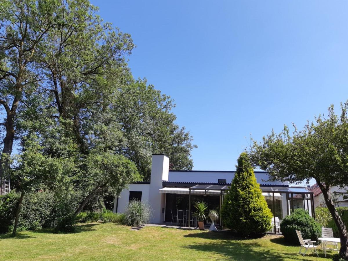 Ferienhaus Brenzblick Gundelfingen an der Donau エクステリア 写真